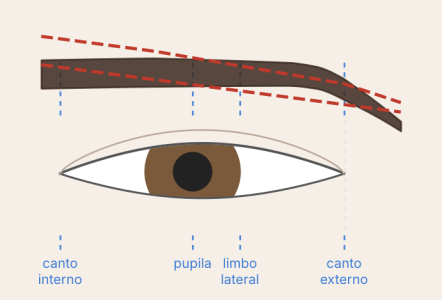 Formas de las cejas