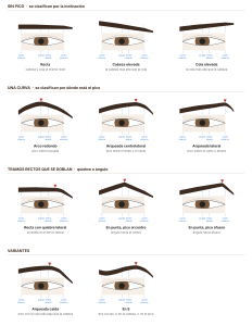 Clasificación de las cejas normales