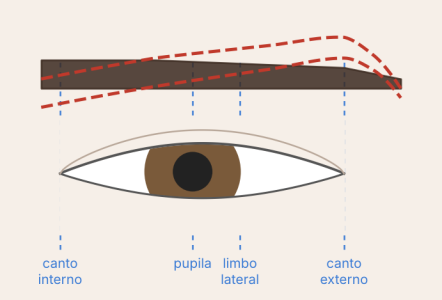 Cejas rectas con arco lateral